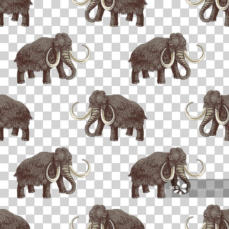 长毛猛犸象彩色无缝图案图片素材