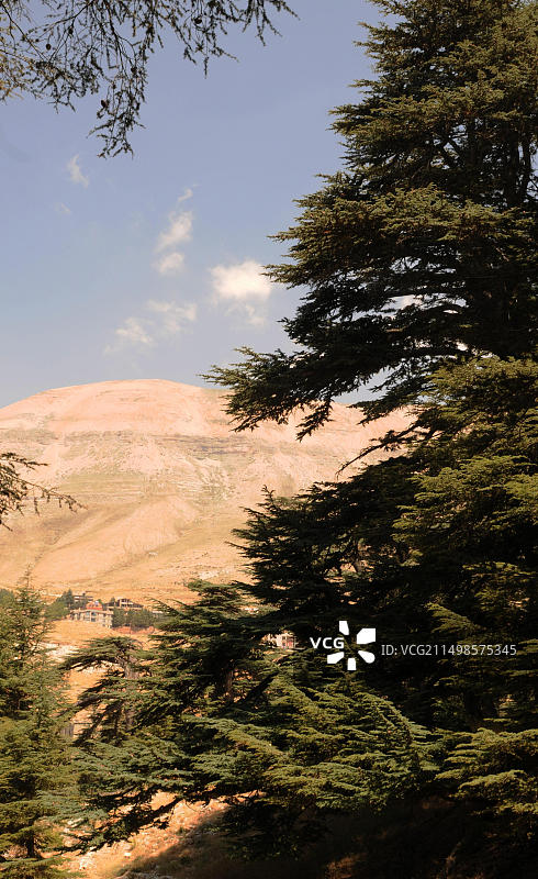 黎巴嫩山脉的雪松森林Arz er-Rabb冬季滑雪区图片素材