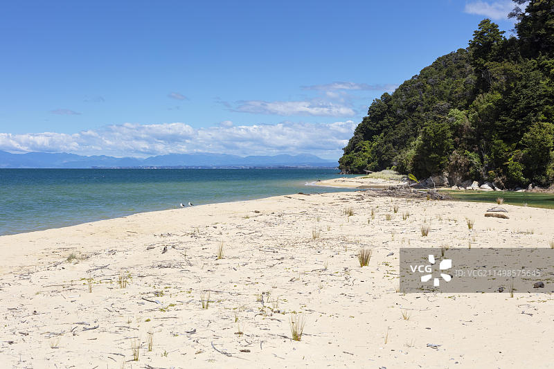亚伯塔斯曼海岸步道，苹果树湾，海滩，凯特里特里，新西兰，大洋洲图片素材