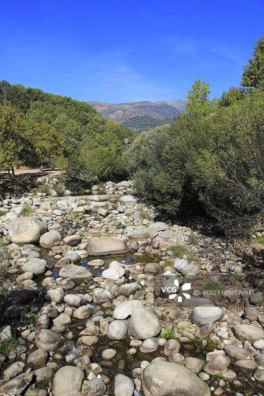 西班牙埃斯特雷马杜拉：蒂耶塔尔河夏季低水位支流图片素材