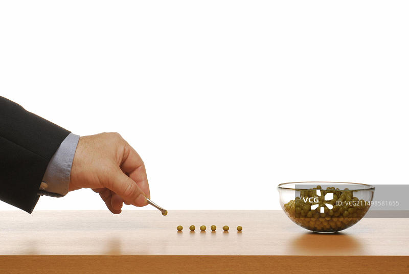 穿着西装的手在桌子上数豌豆图片素材