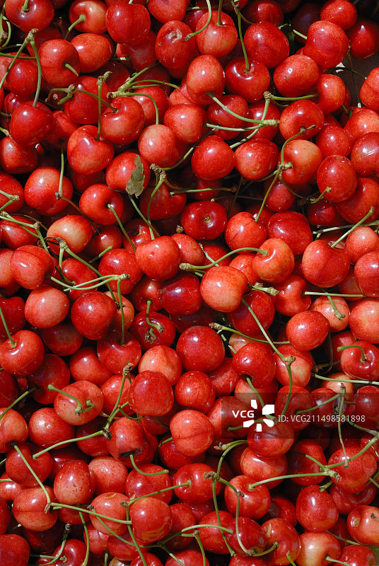 甜樱桃图片素材