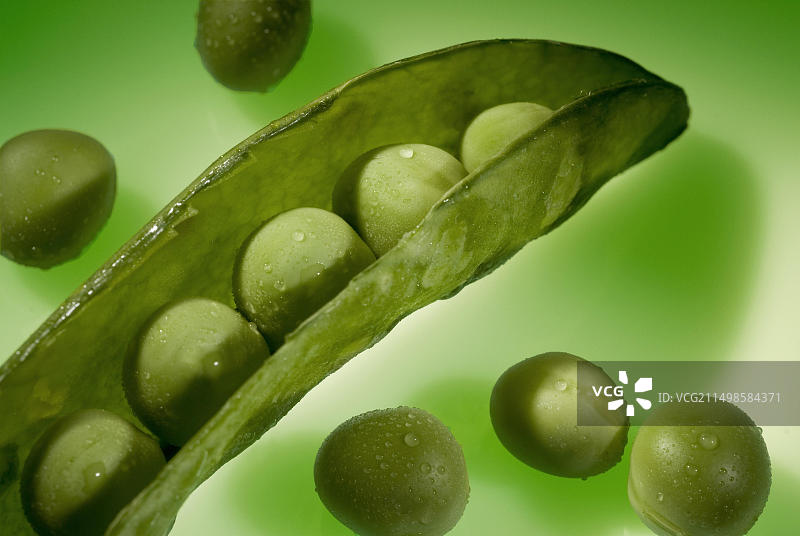豌豆图片素材