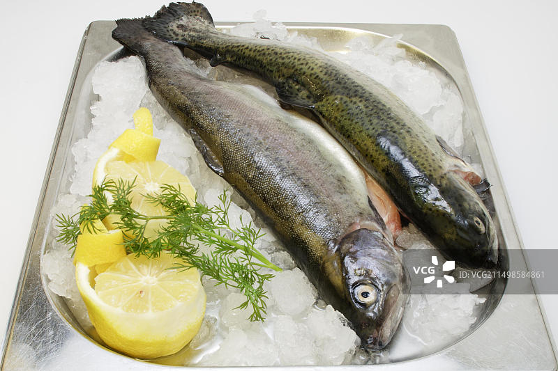 冰鲜柠檬虹鳟鱼图片素材