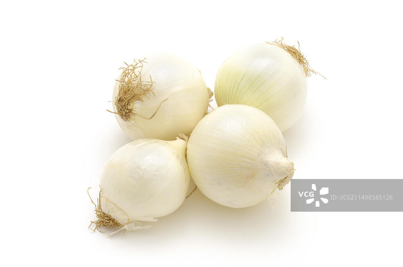 白洋葱图片素材