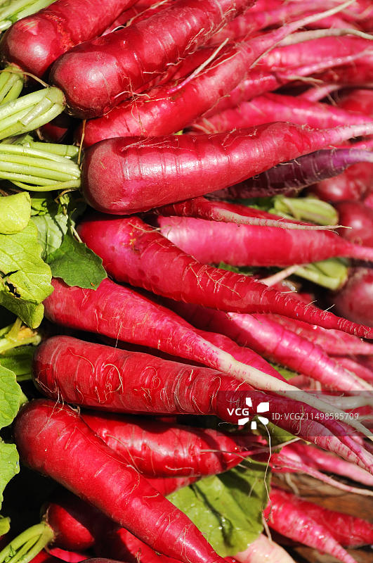 红色萝卜图片素材