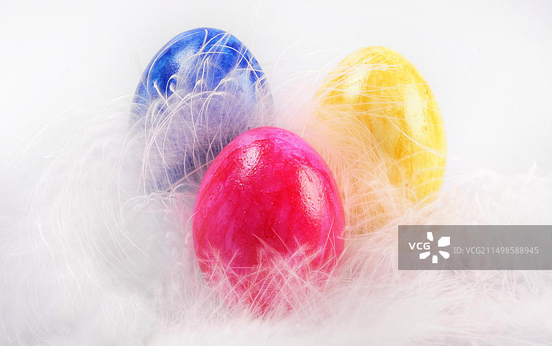 彩色复活节彩蛋与白色羽毛图片素材