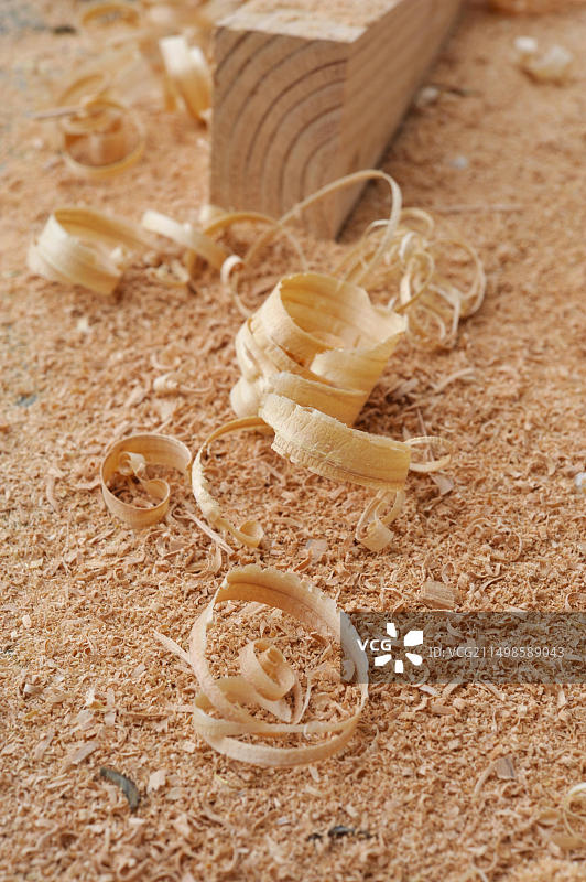 花旗松刨花图片素材