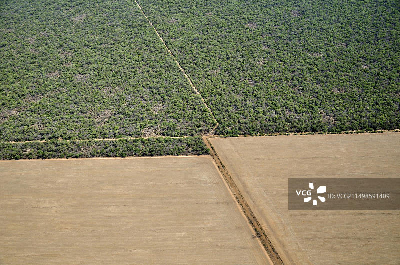 从塞斯纳飞机上看到的阿根廷萨尔塔格兰查科森林鸟瞰图图片素材