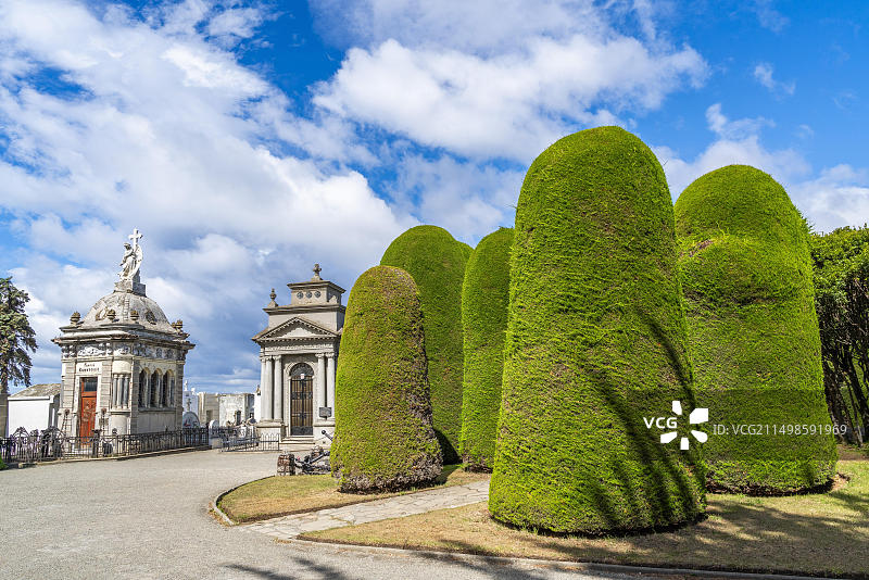 智利蓬塔阿雷纳斯市萨拉·布劳恩公墓墓地和灌木图片素材