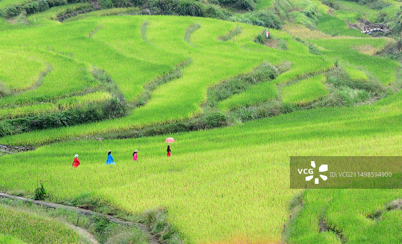 黄冈雾云山生态旅游景区图片素材