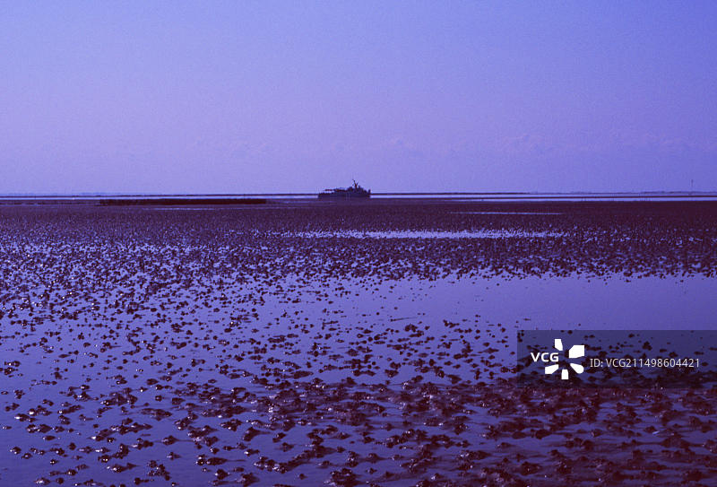 德国北海的沙虫，复古风格图片素材