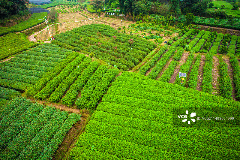 成都成佳茶乡旅游景区图片素材