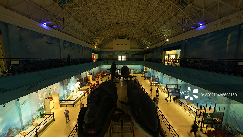 大连自然博物馆图片素材