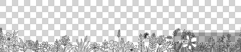 盛开的野生草地花朵无缝艺术边框图片素材