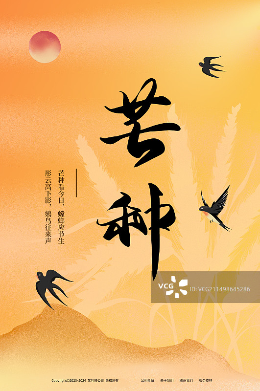 简约金色芒种麦穗海报图片素材