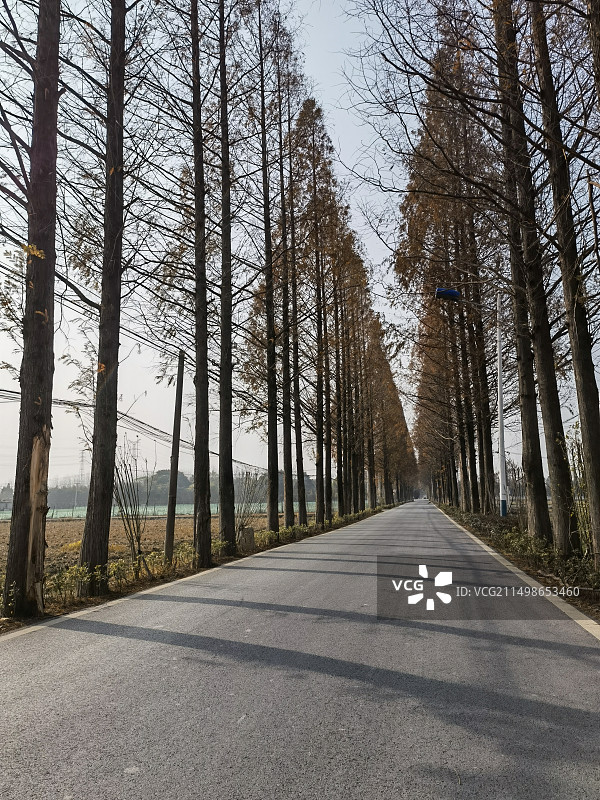 秋天的农村小路图片素材