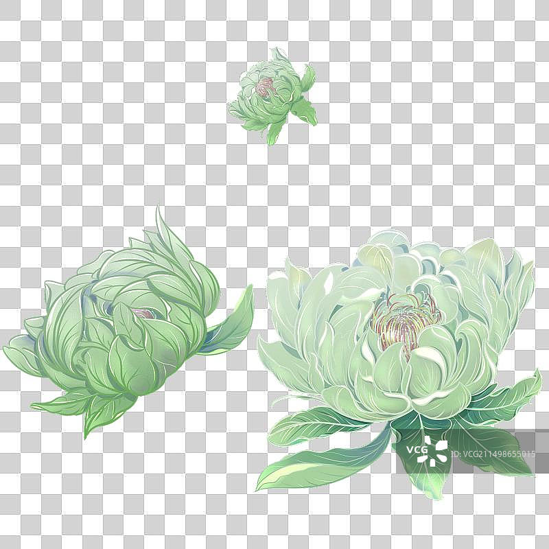 国潮免扣花卉雪莲花图片素材