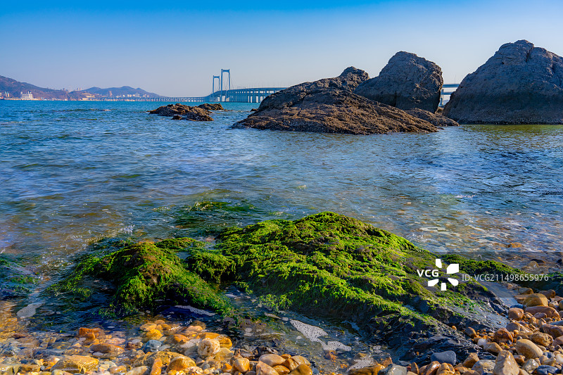 大连：星海湾跨海大桥图片素材