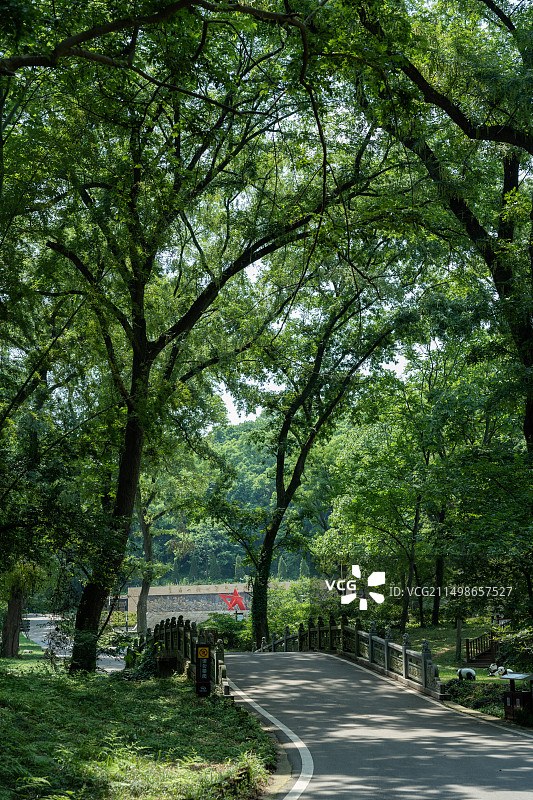 安徽省皇甫山国家森林公园图片素材