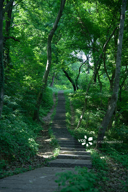 安徽省皇甫山国家森林公园图片素材