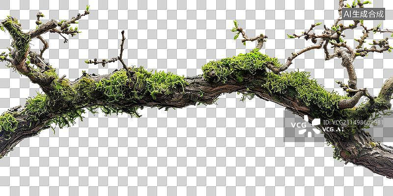 【AI数字艺术】[免抠PNG素材]布满青苔的弯曲树枝图片素材