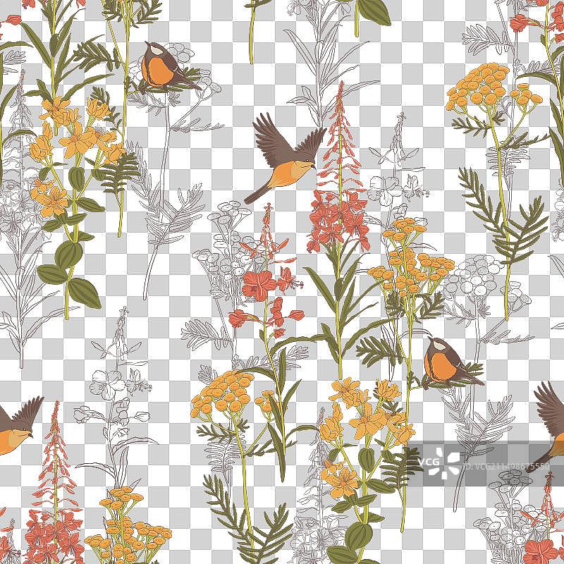 野花无缝图案图片素材