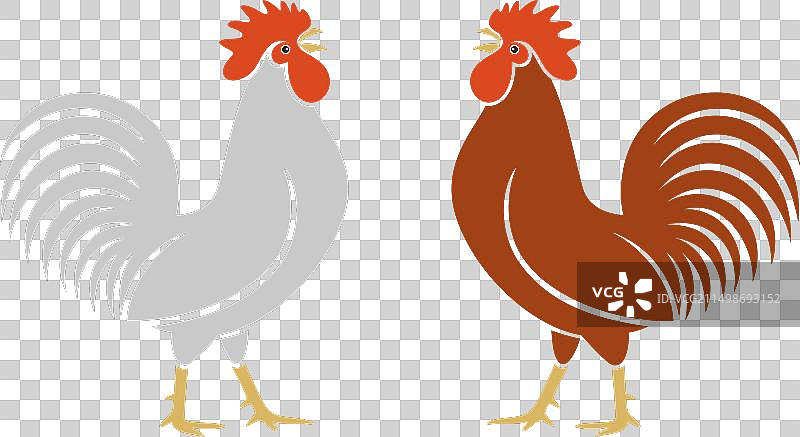 公鸡图片素材