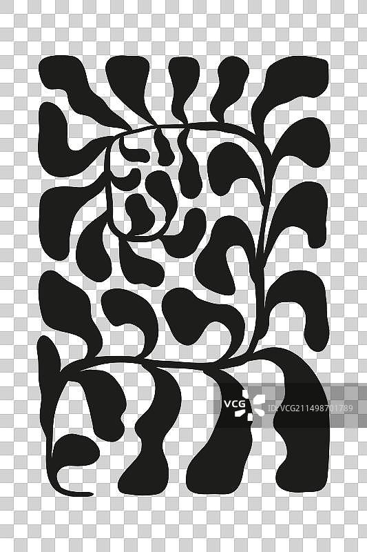 黑色手绘极简风格蕨类植物图片素材