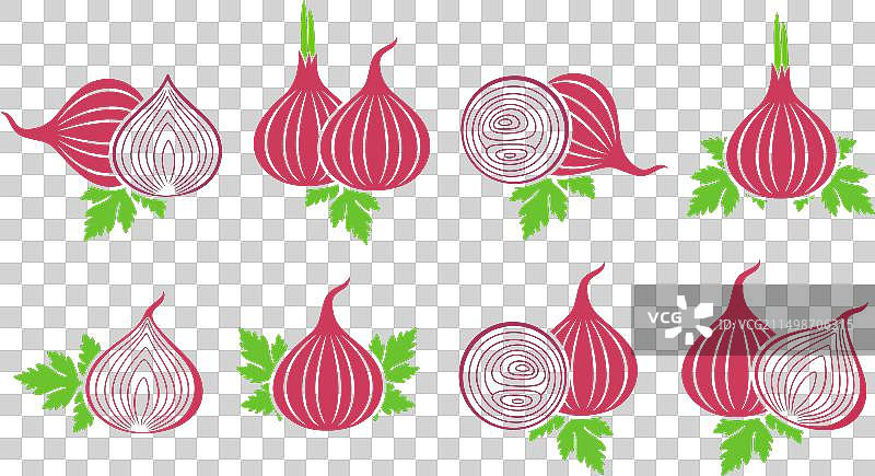 洋葱图片素材