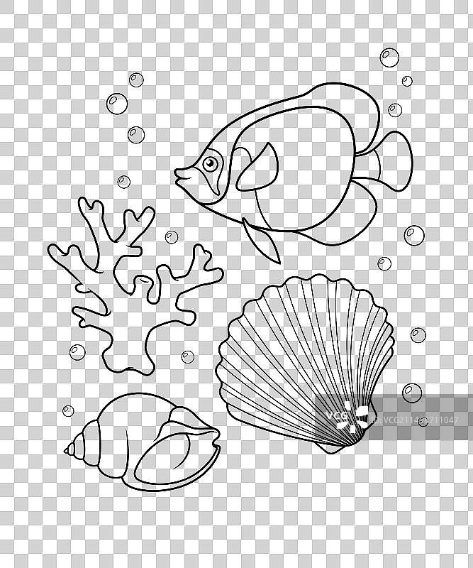 带有贝壳和珊瑚的神仙鱼图片素材