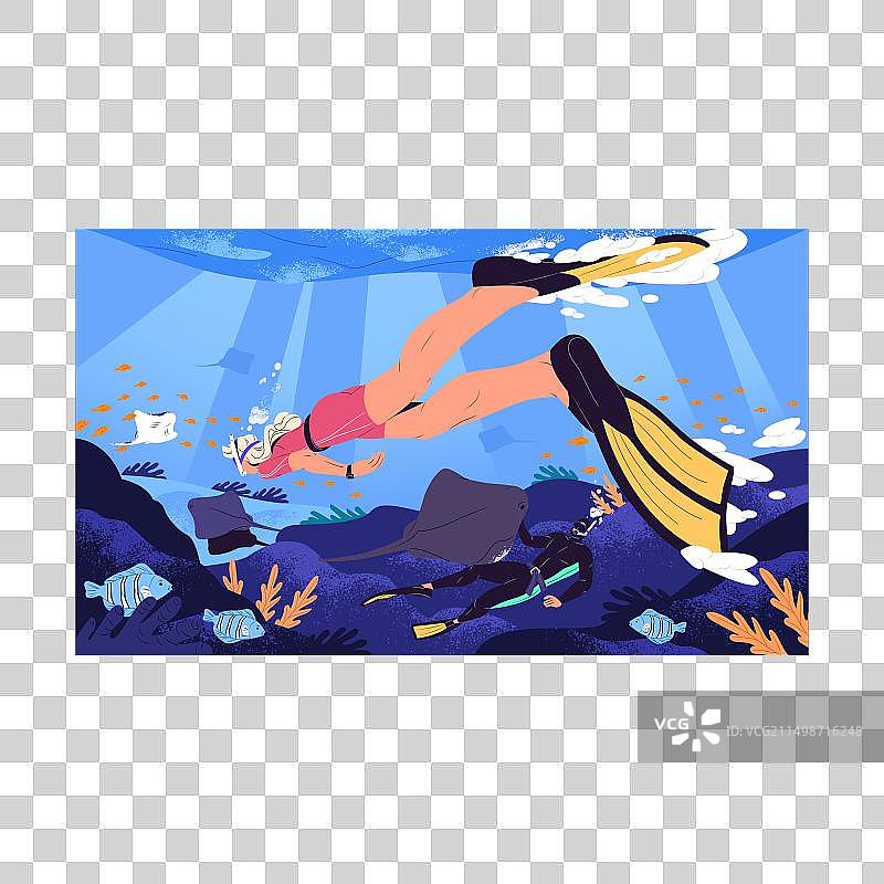 潜水员观看海洋野生动物图片素材