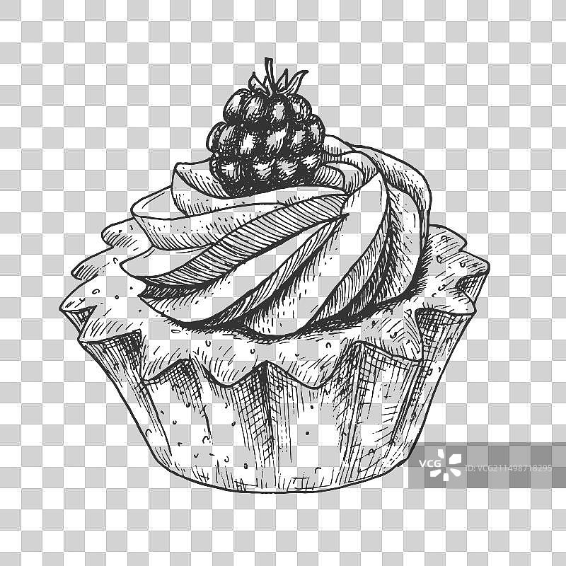 手绘纸杯蛋糕黑莓甜点图片素材