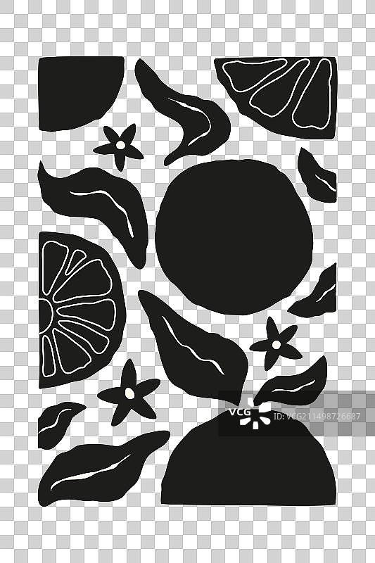 黑色抽象柑橘水果和树叶图片素材