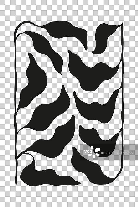 白色背景上的黑色手绘扭动树叶图片素材