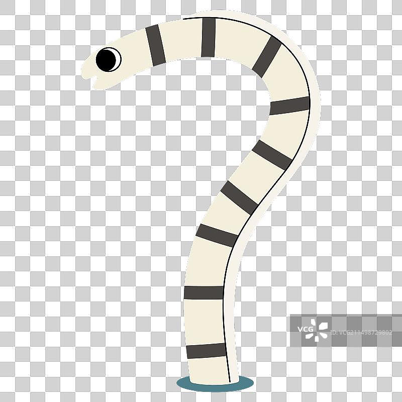 花园鳗图片素材