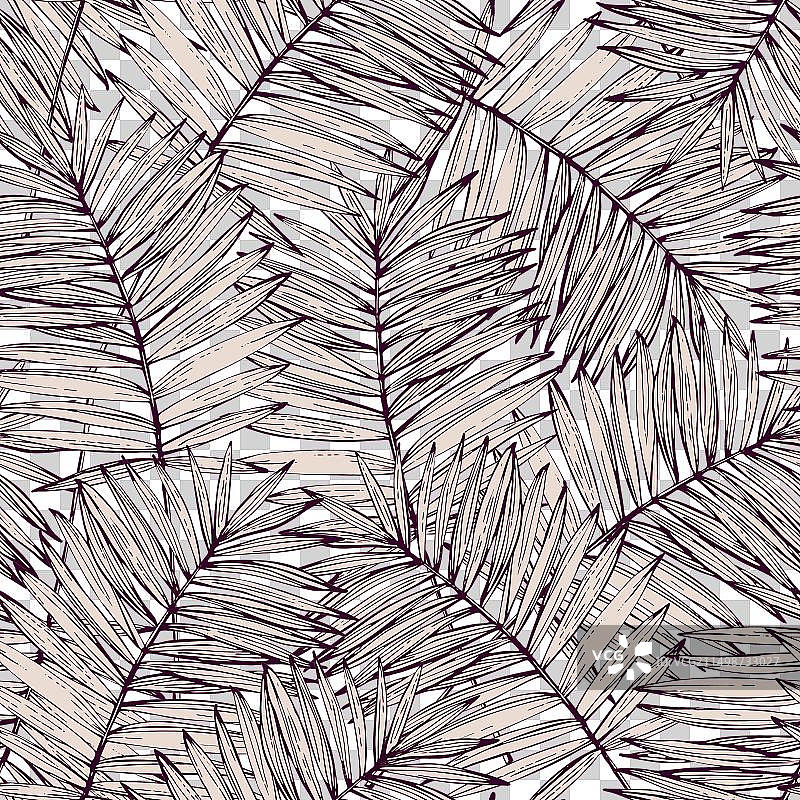 抽象热带树叶背景棕榈叶图片素材