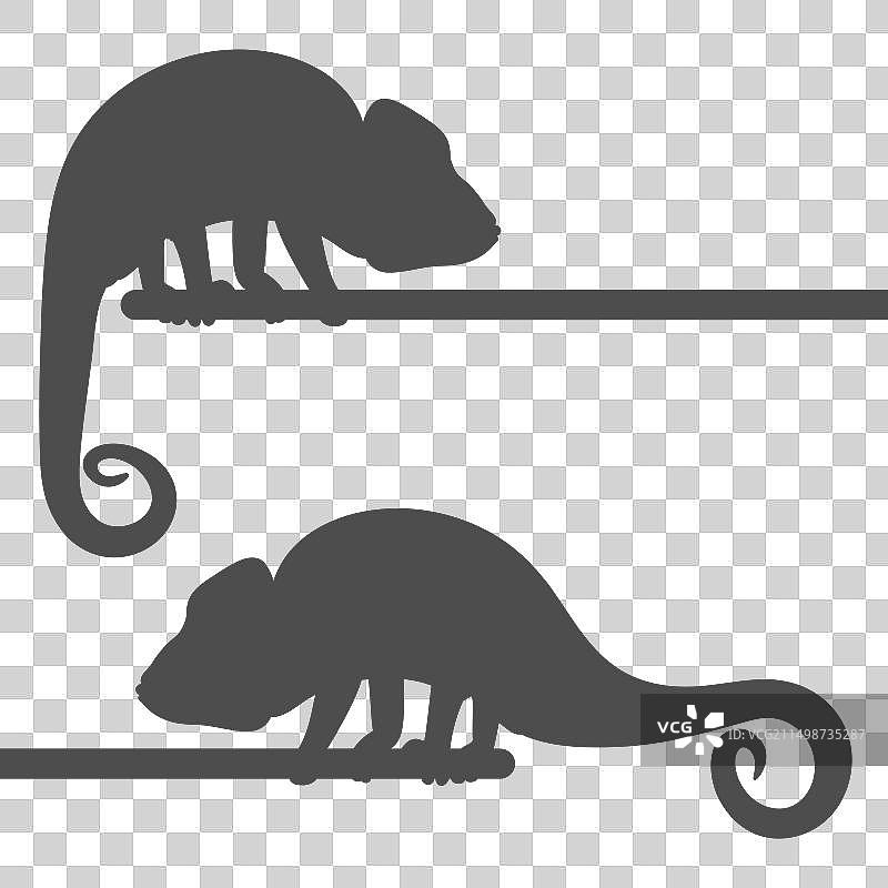 带有变色龙的黑白套装图片素材