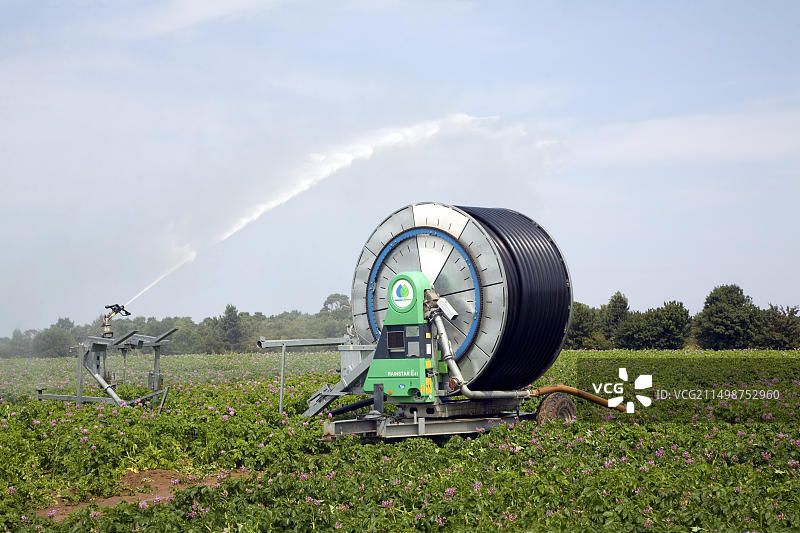 英格兰萨福克郡萨顿的马铃薯田灌溉喷洒图片素材