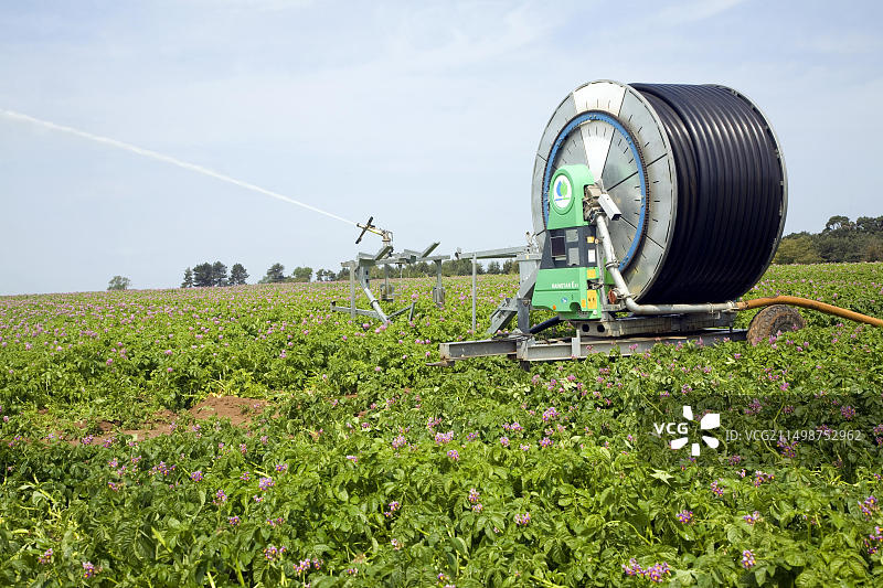 英格兰萨福克郡萨顿的马铃薯田灌溉喷洒图片素材
