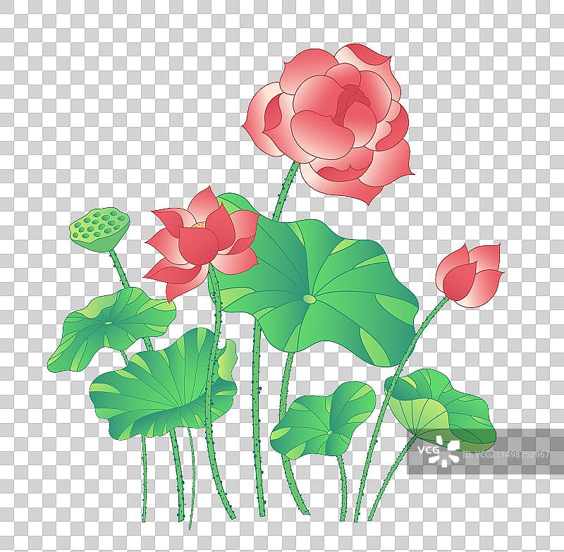 国潮风荷花矢量元素图片素材