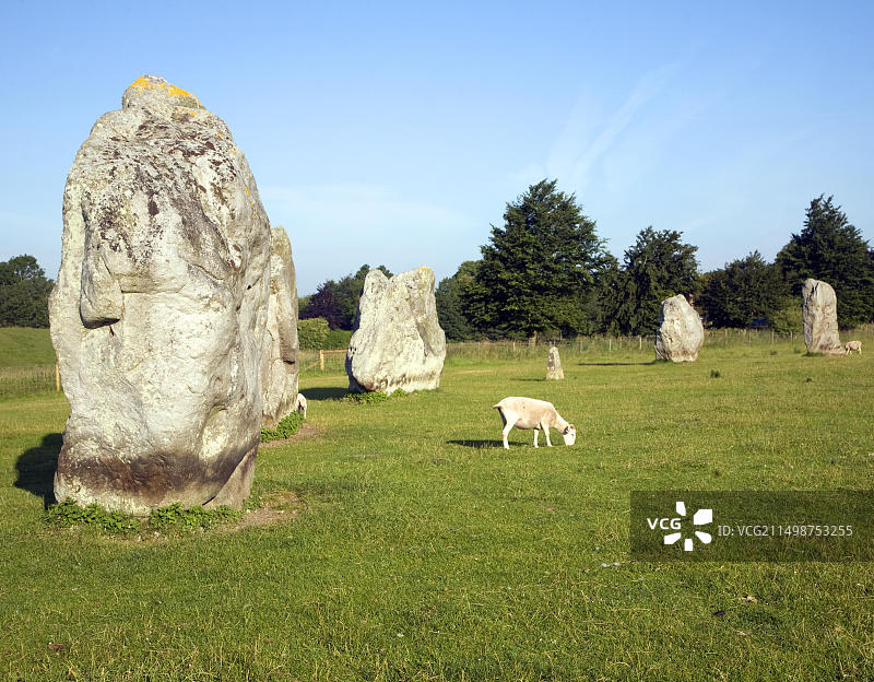 英国威尔特郡埃夫伯里石阵的立石图片素材