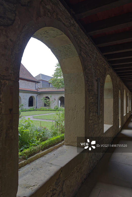 科姆堡本笃会修道院的玫瑰丛与蔷薇图片素材