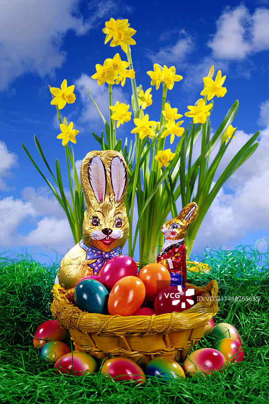 色彩鲜艳的复活节巢，复活节巧克力兔子，彩色蛋，糖果，复活节花，黄色水仙花，蓝色天空，工作室图片素材