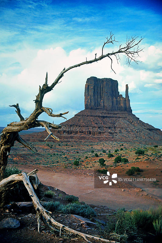 纪念碑谷：科罗拉多高原纳瓦霍族土地，位于美国犹他州图片素材