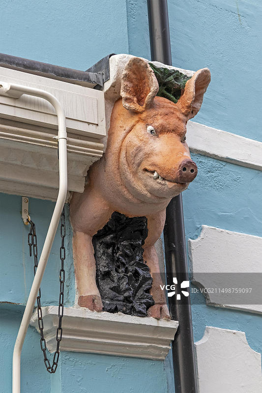 猪头，英国肯特郡福克斯通港口房屋墙壁图片素材