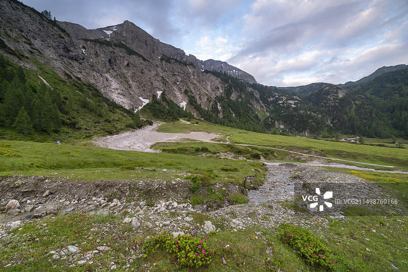 施蒂利亚卡尔克斯皮策山，乌斯普龙阿尔姆高山草甸风光图片素材