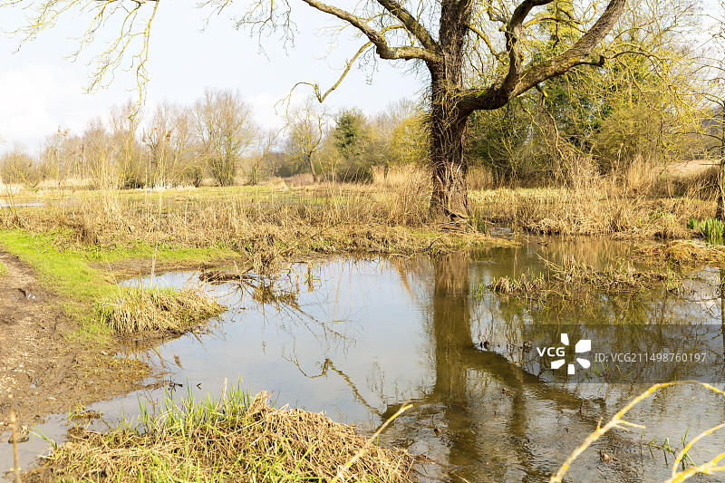 英格兰萨福克郡斯普劳顿吉平河洪泛区洪水图片素材