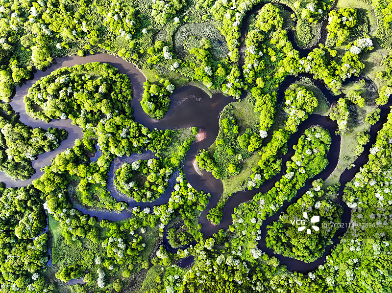 无人机航拍吉林省延边州敦化市大石头林业局沙河湿地像龙一样的沙河图片素材