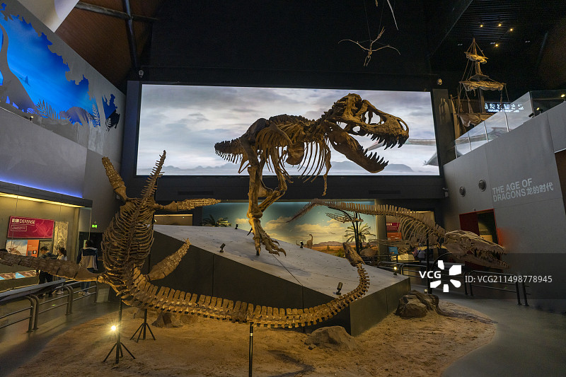 国家海洋博物馆 鱼龙化石图片素材